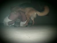 Gay offering his asshole to his pet porn dog